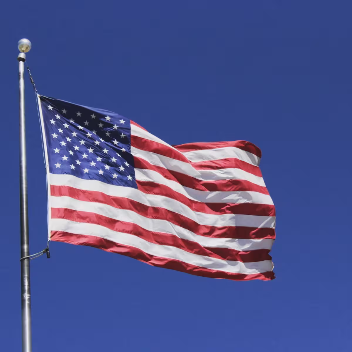 U.S.A flag
