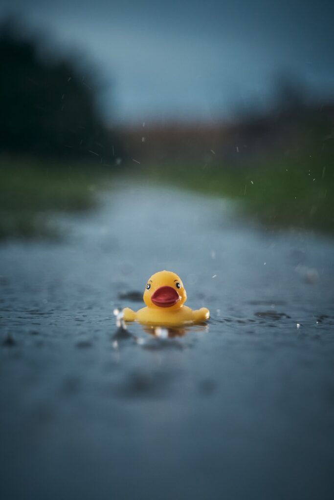 a rubber duck floating on water